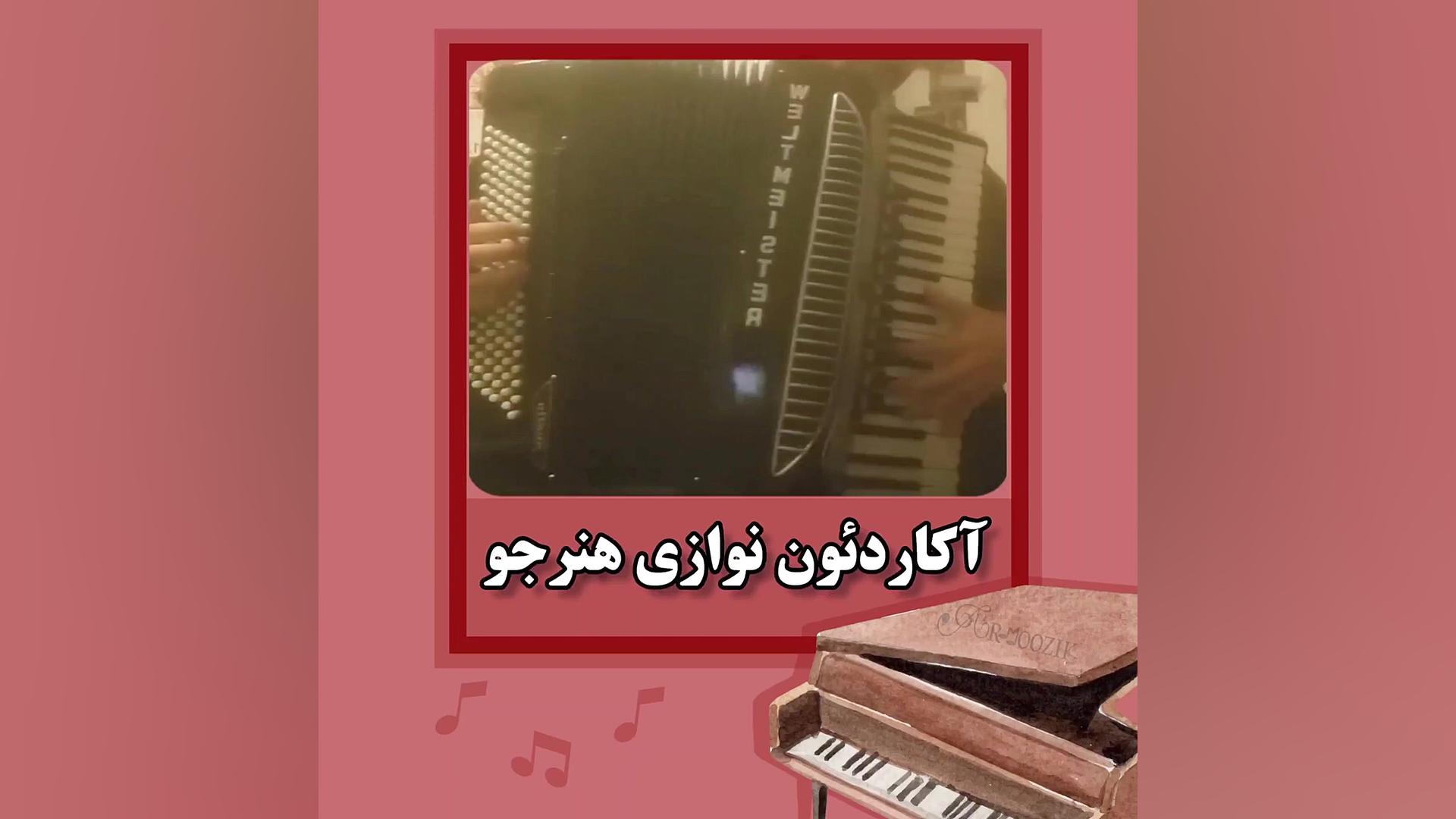 آکاردئون نوازی حرفه ای