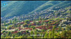 کوچمیز  شاعر رضا بابایی