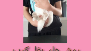 روش های بغل کردن خرگوش