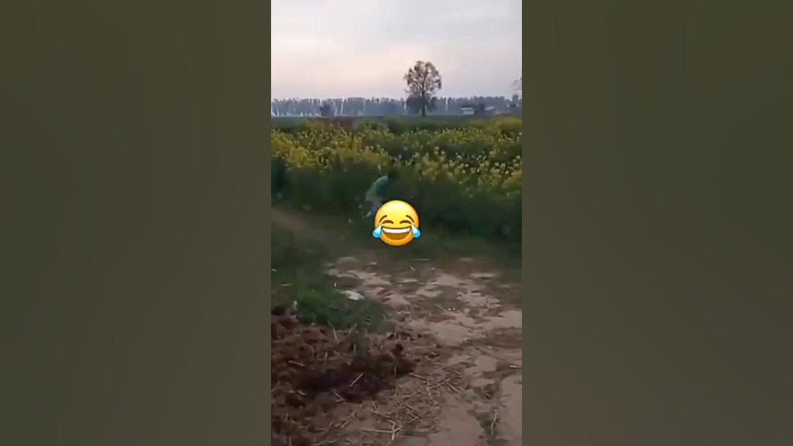 رفیق نیمه راهی