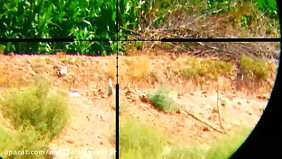 هدف زنی اسلوموشن با pcp پانچر...