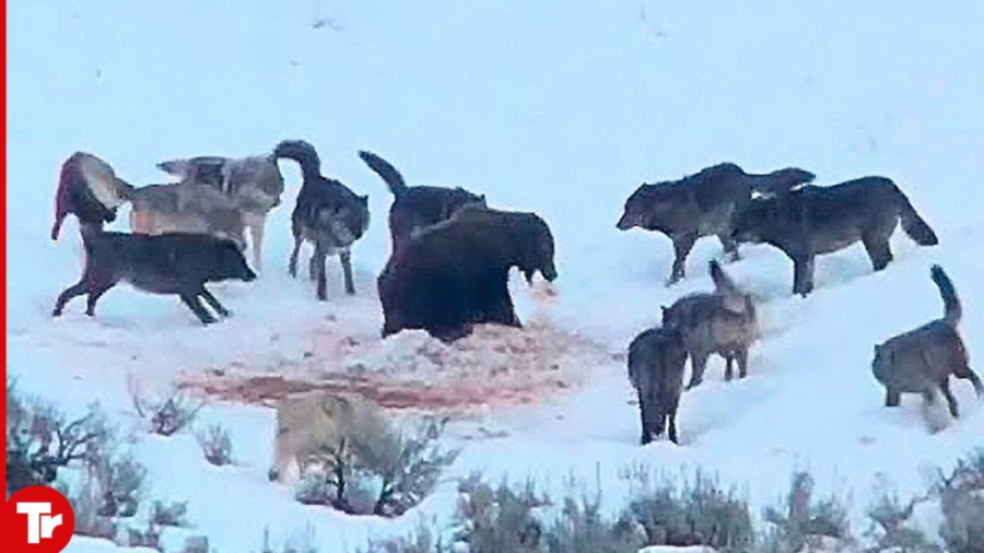 ببینید چه اتفاقی می افتد وقتی...