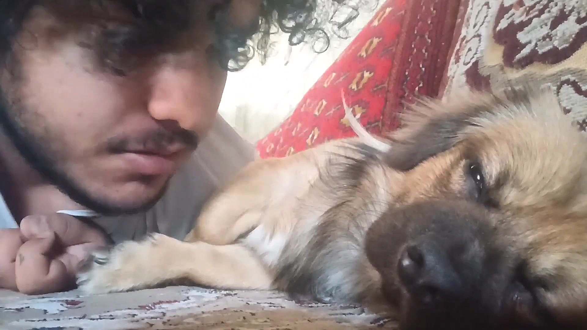 صحبت منو سزار با شما