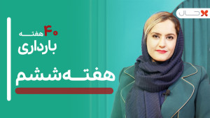 هفته ششم بارداری  چهل هفته بار...