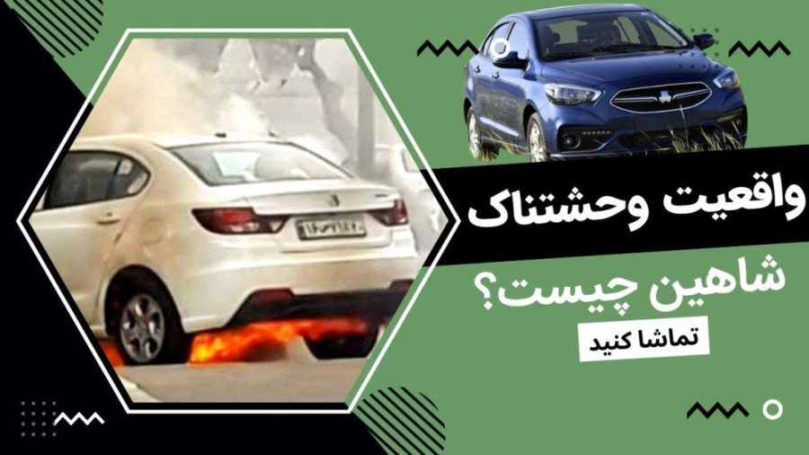 آنچه از شاهین نمی دانید؛ واقعی...