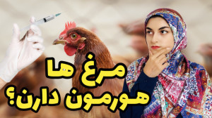هورمون در مرغ ها واقعیت داره؟...