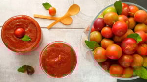 آموزش رب آلوچه نازگل