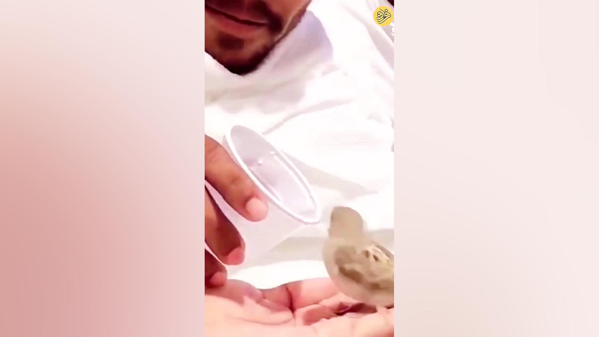 یک گنجشک در خانه خدا خبرساز شد...