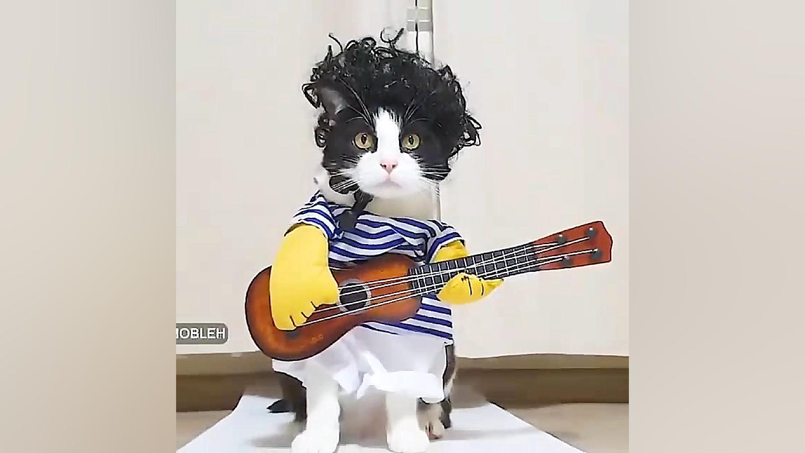 دیس امیر بفرست ...برا امیر ها...