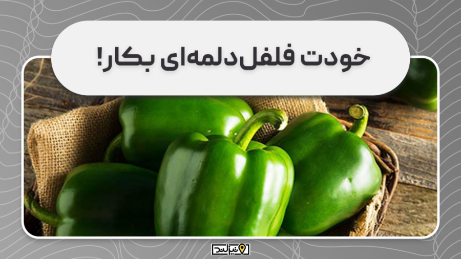 خودت فلفل‌دلمه‌ای بکار!