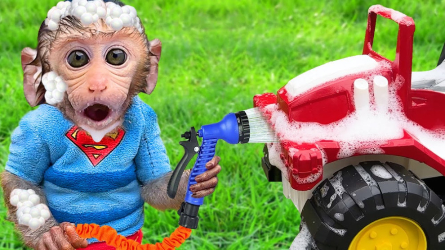 ماجراهای بچه میمون  بچه میمون...