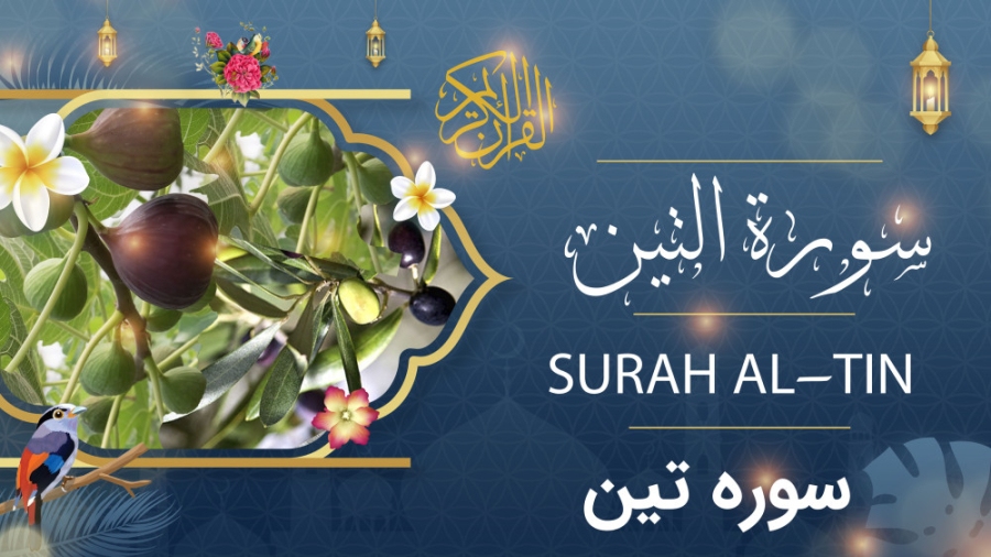 سوره تین قرآن کریم - سوره التین قرآن کریم