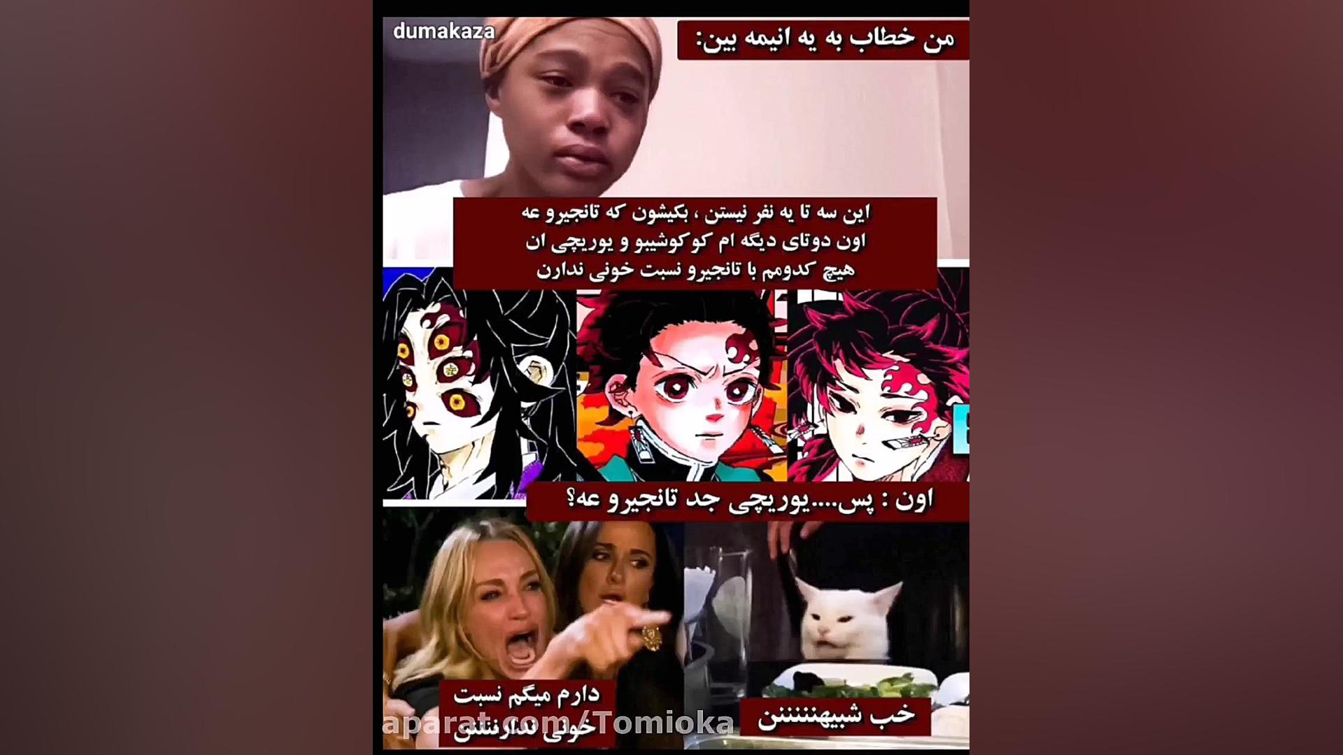 طنز شیطان کش (انیمه)