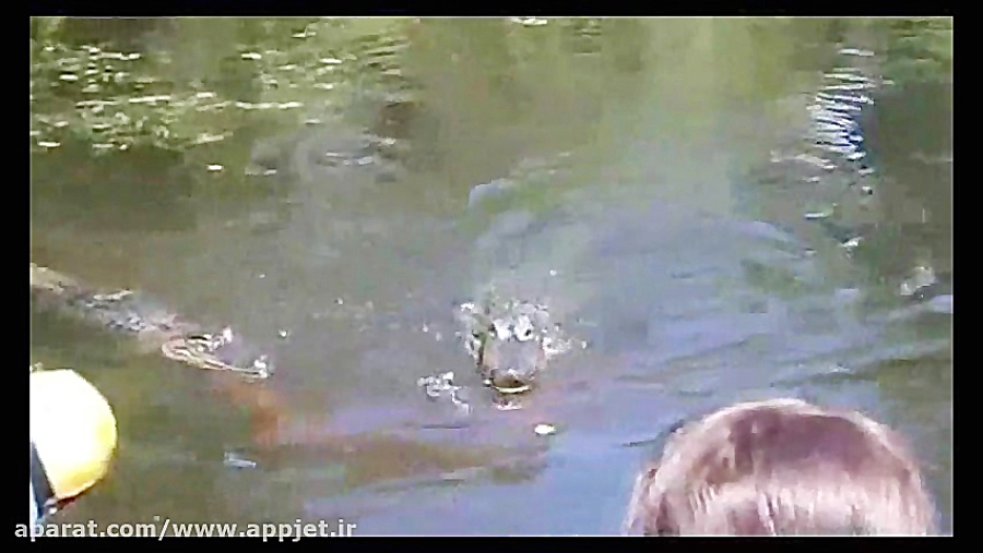 دوستی خطرناک