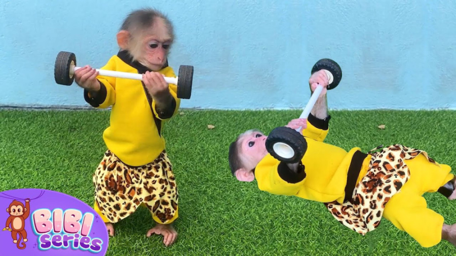 حیوانات: میمون باهوش بدنساز می...