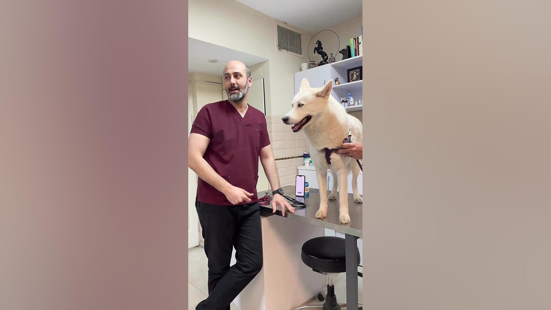 پیشگیری از بیماری در حیوانات خ...