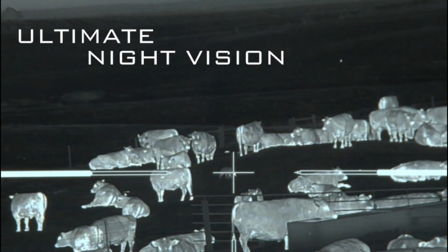 کشتن تا 45 گرگ حمله کننده به م...