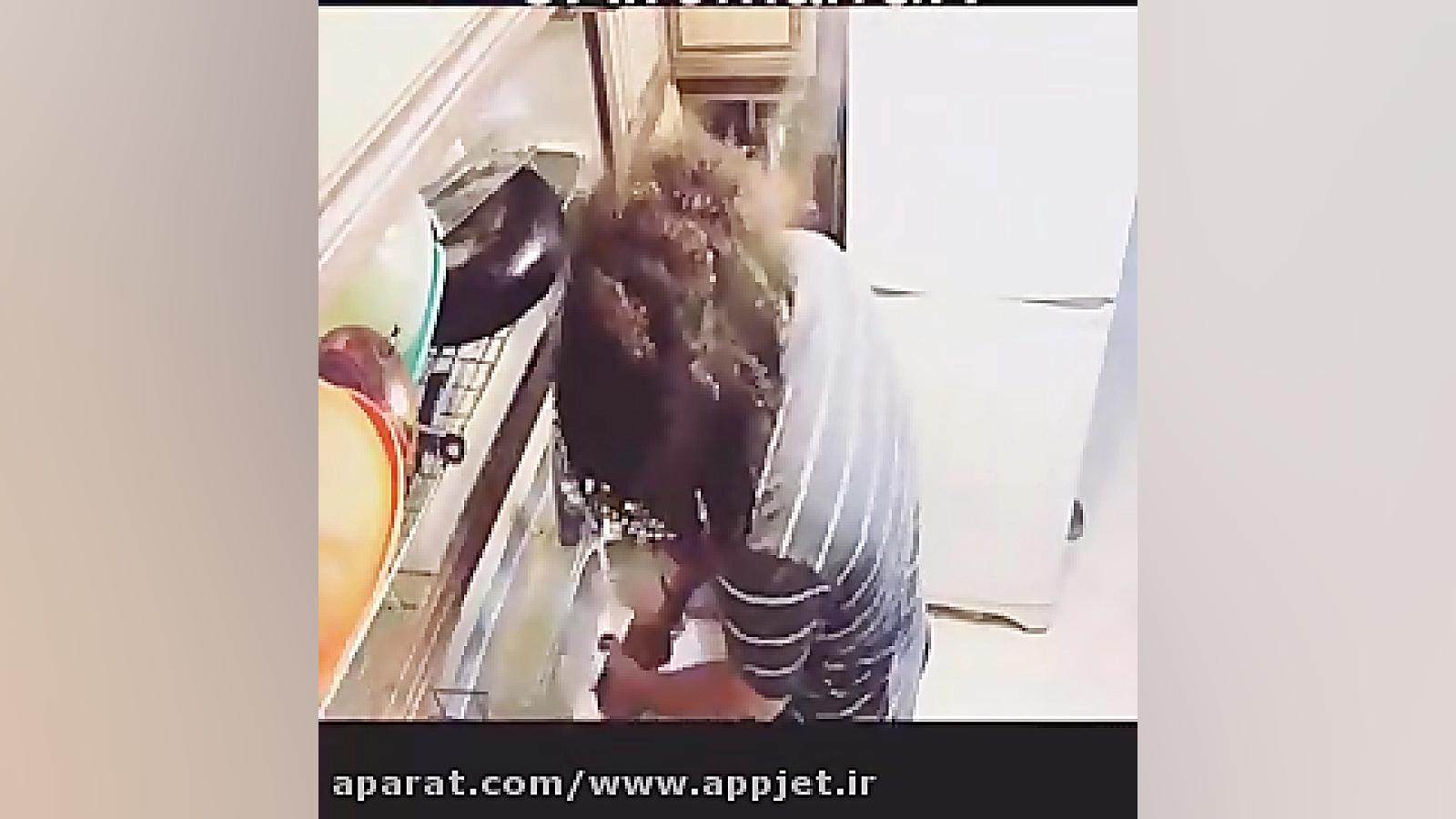 اینو دخترا زیاد درک میکنن