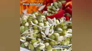 چطور جوانه ماش درست کنیم