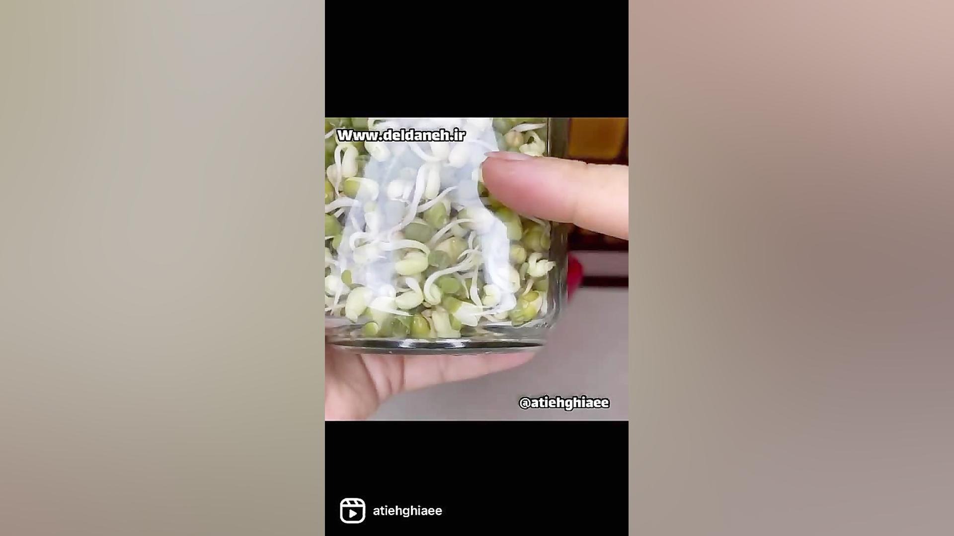 اسموتی جوانه ماش