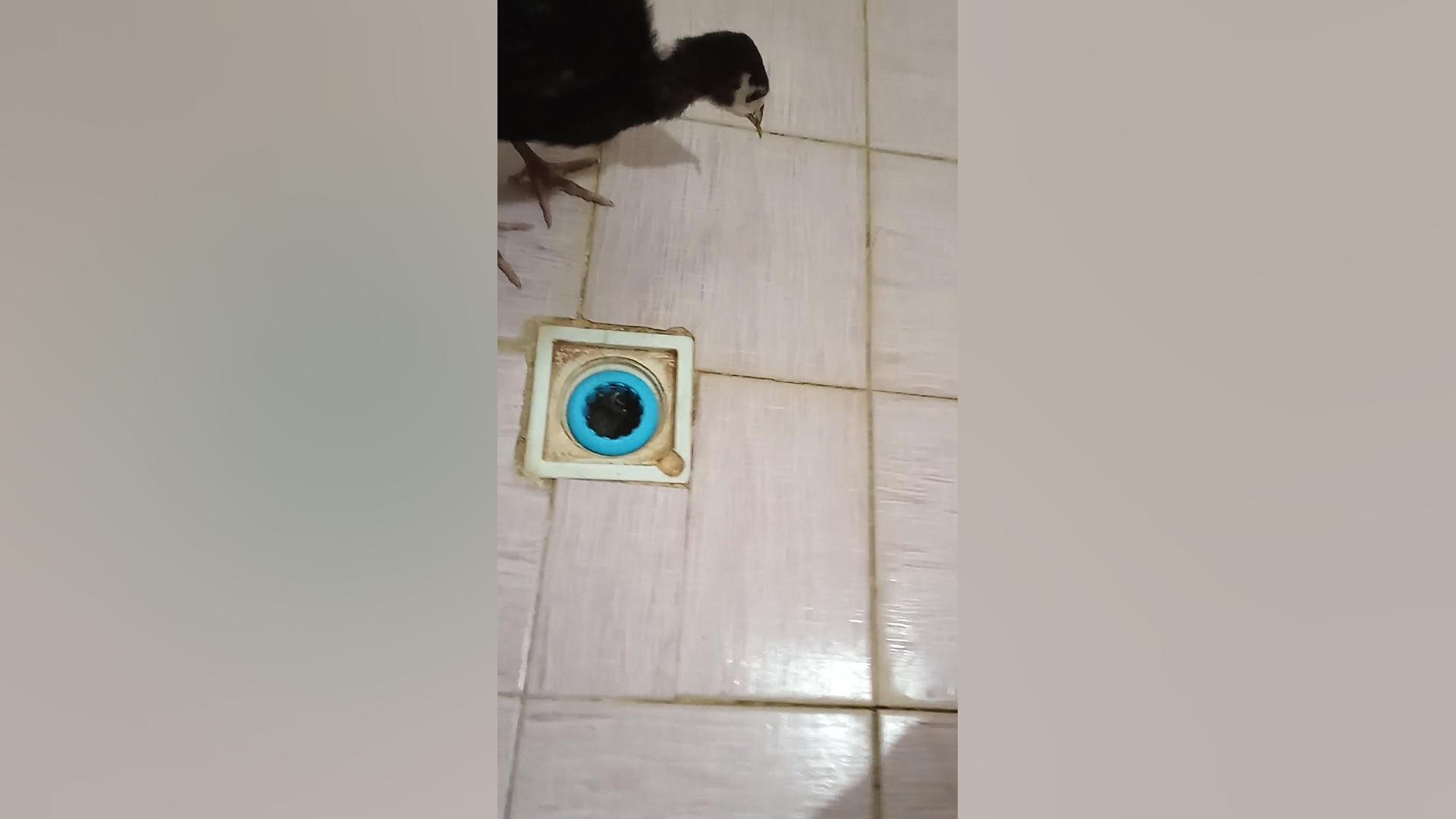 وقتی میای یه ویدیو بگیری و