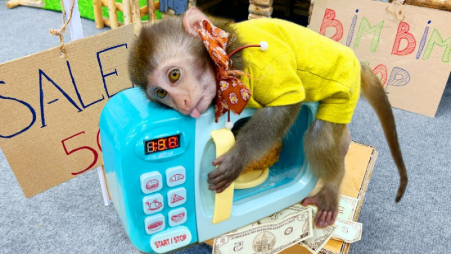 برنامه کودک بچه میمون  داستان...