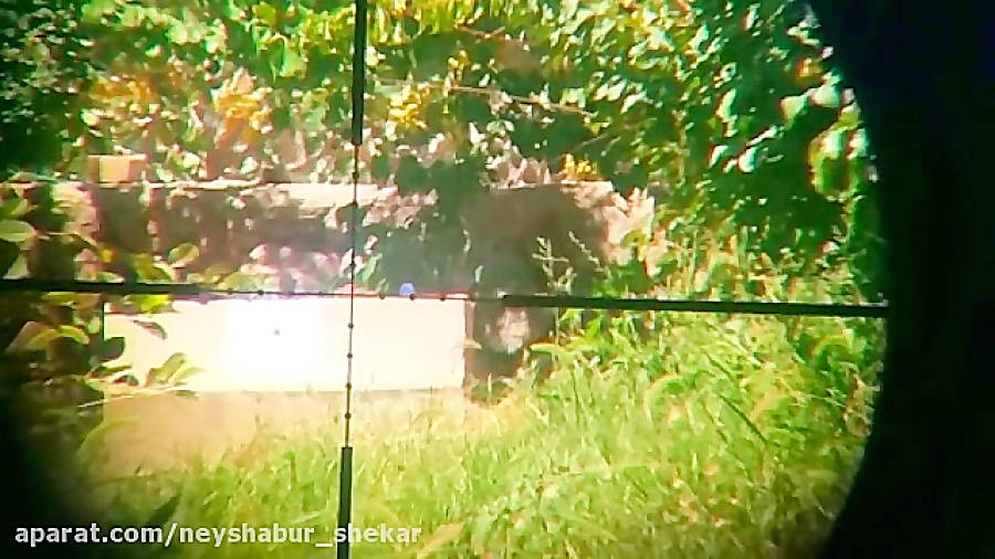 هدف زنی با pcp پانچر مکسی