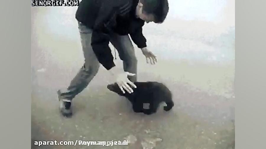 حمله بچه خرس بامزه به انسان