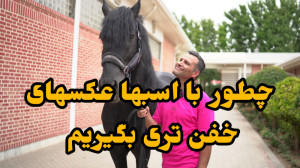 چطور عکسهای بهتری با اسبها بگی...