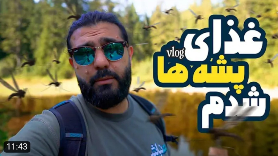 مشعل ابی دوست داری