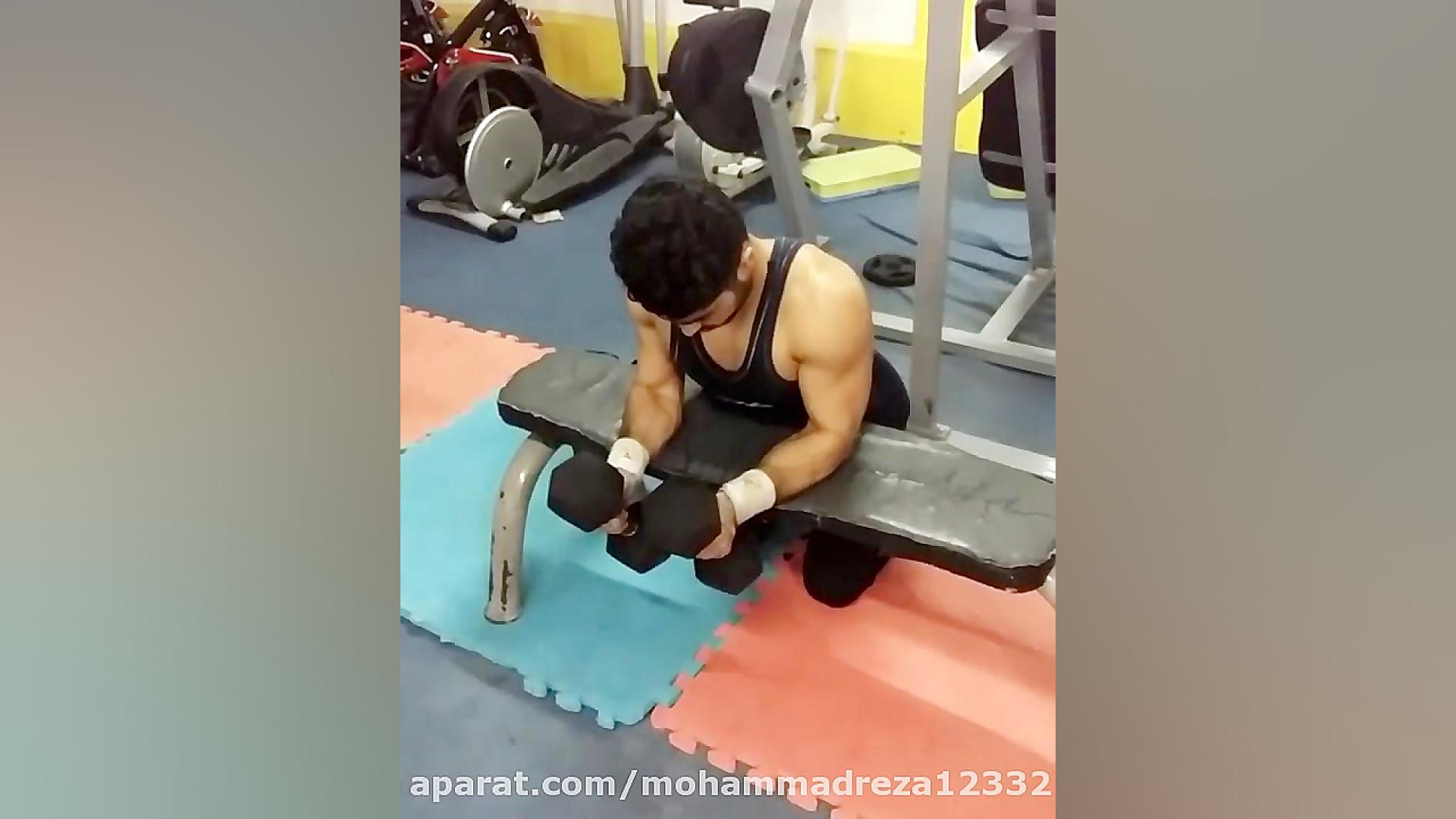 ساعد خارجی جفت دمبل نشسته