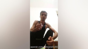 دابسمش گوزن ها