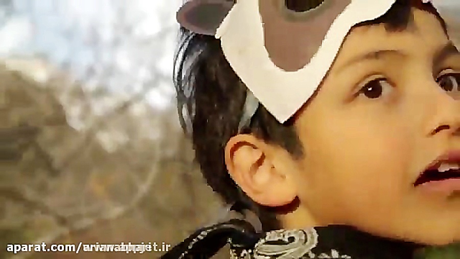 دوستی حیوانات