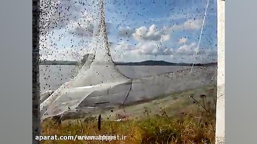 تار عنکبوت بسیار جالب