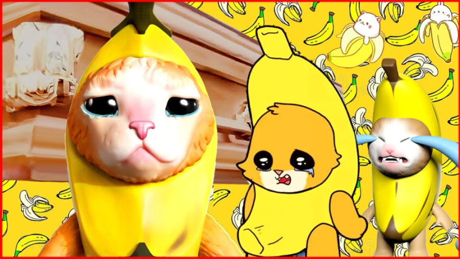 میکس کمدی کافن دنس گربه موزی