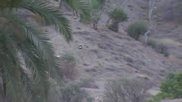 هدف زنی با تفنگ بادی درفاصله 2...