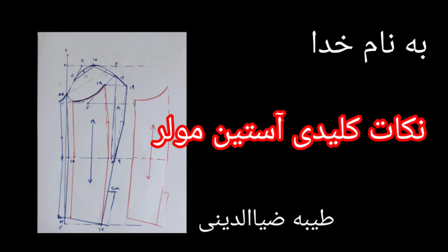 نکات کلیدی آستین مولر ،خانم ضی...