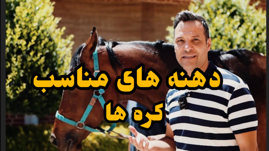 بهترین دهنه برای اسب