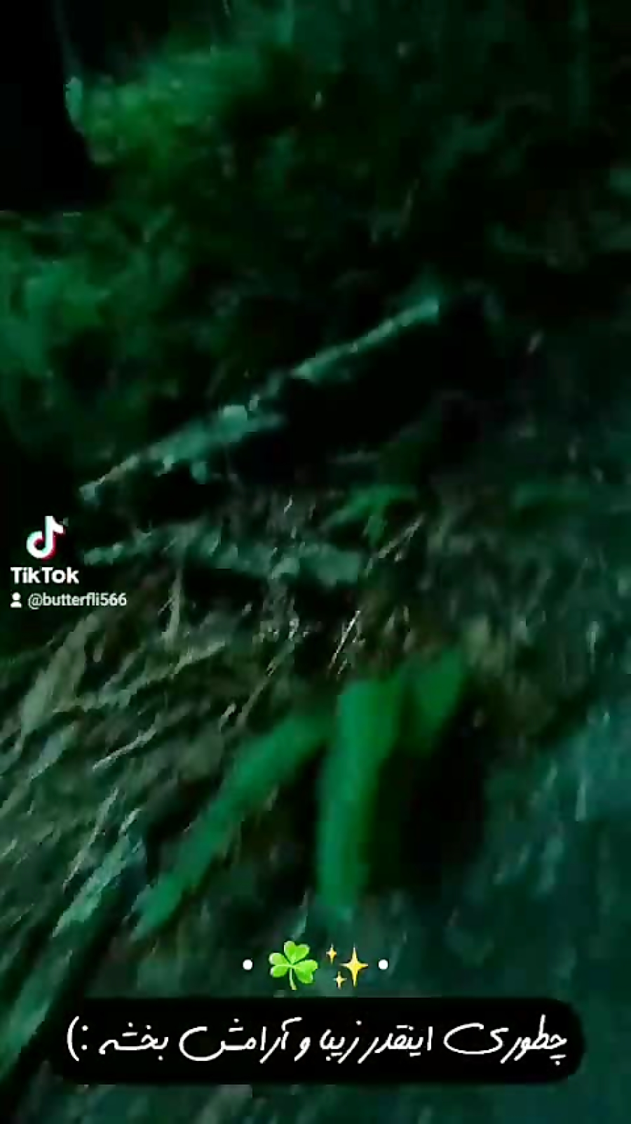 وایب سبز ))
