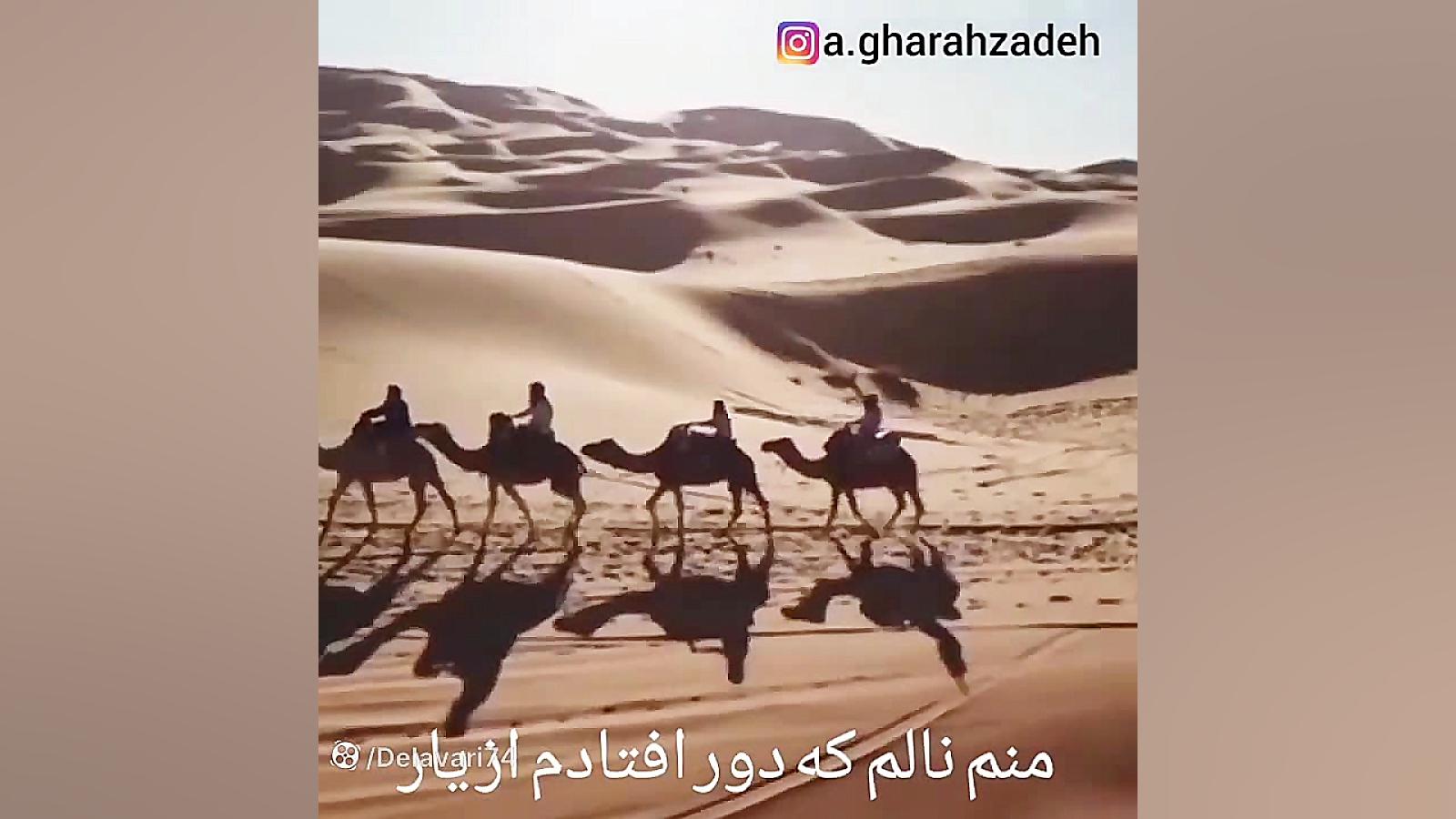 شتر از بار می ناله من از دل ای...