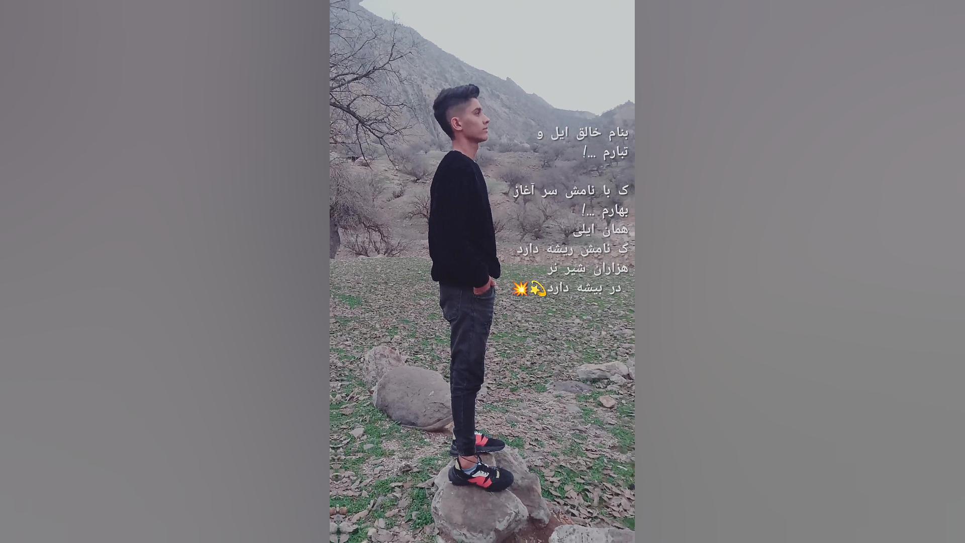 همایون قلی زاده دولیاری