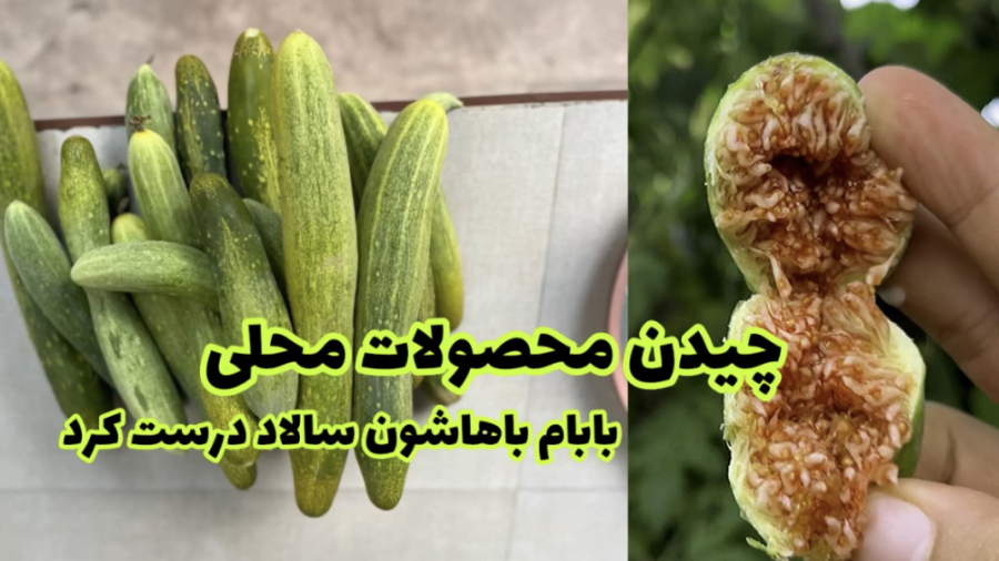 سالاد شیرازی با تم گیلانی با م...
