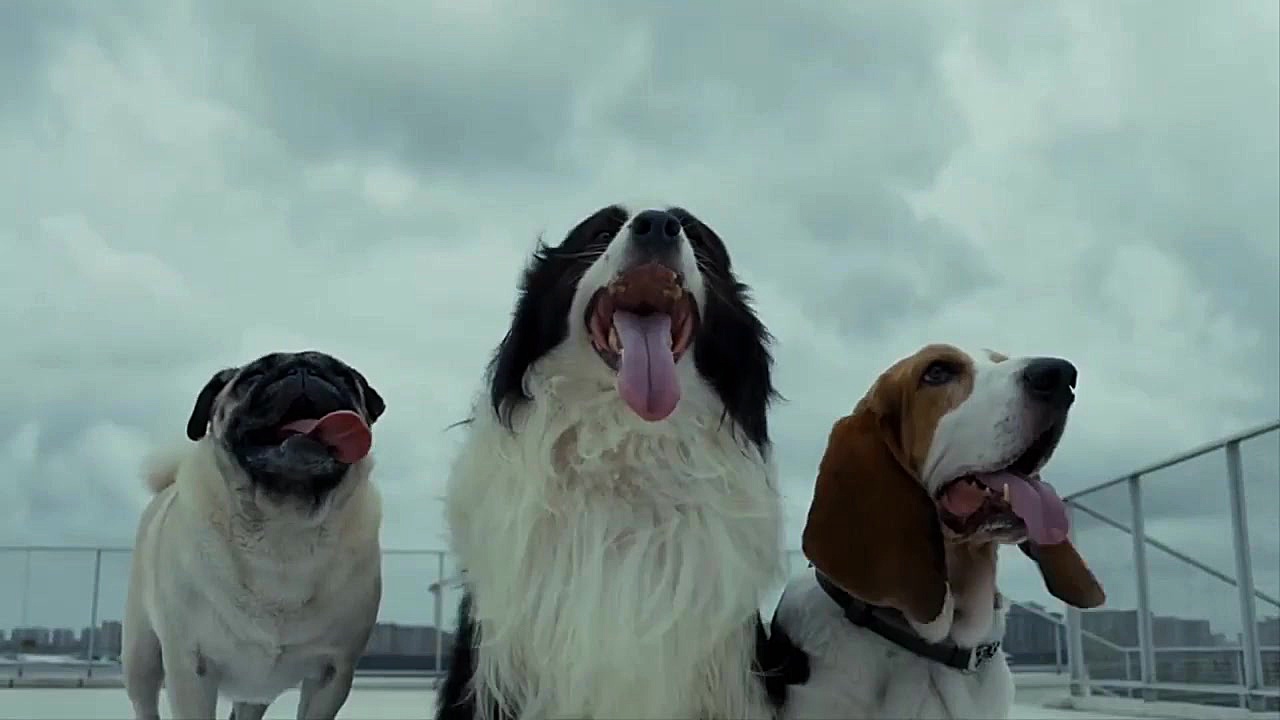 شیائومی از سگ رباتیک خود با نا...