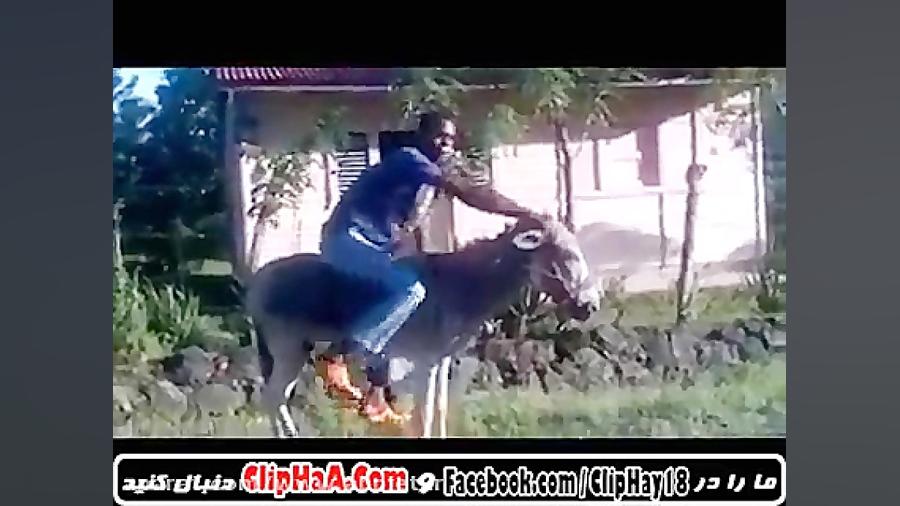 آموزش راندن خرسیکلت خخخخخخ