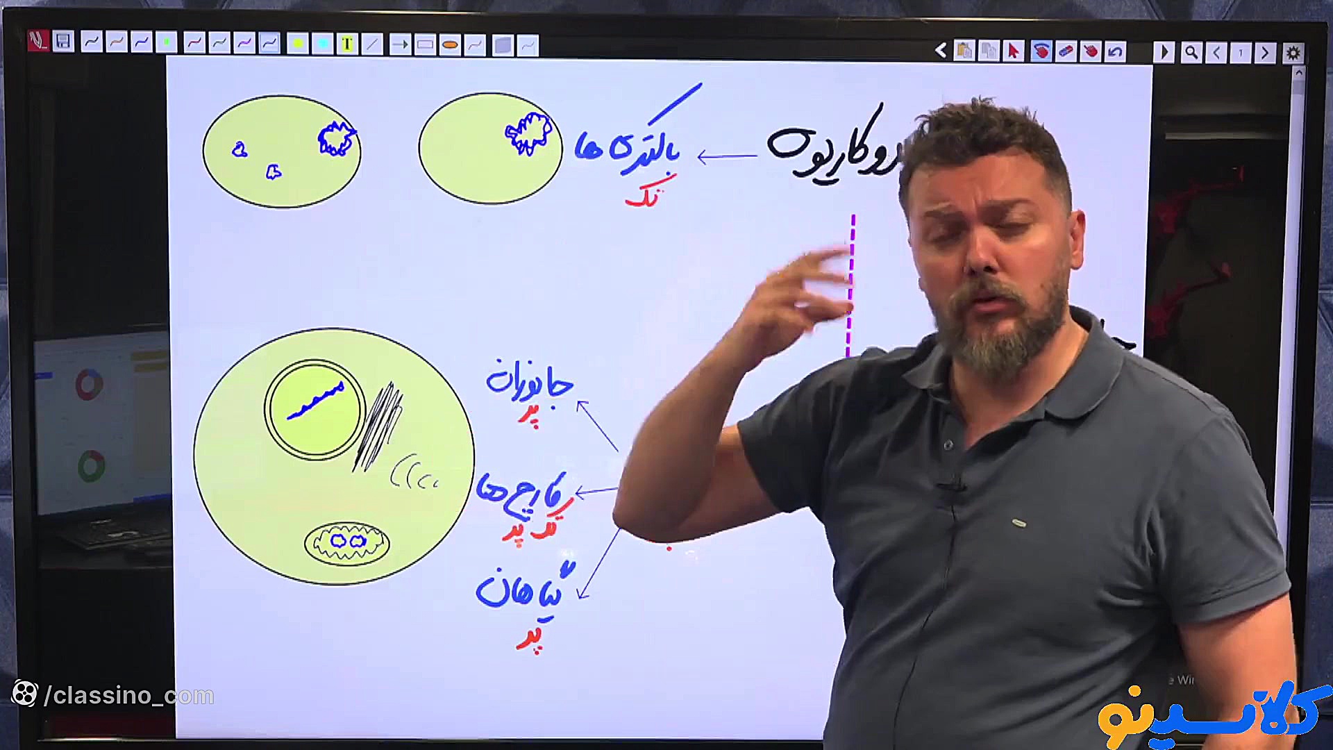 جلسه اول کلاس آنلاین زیست سال...