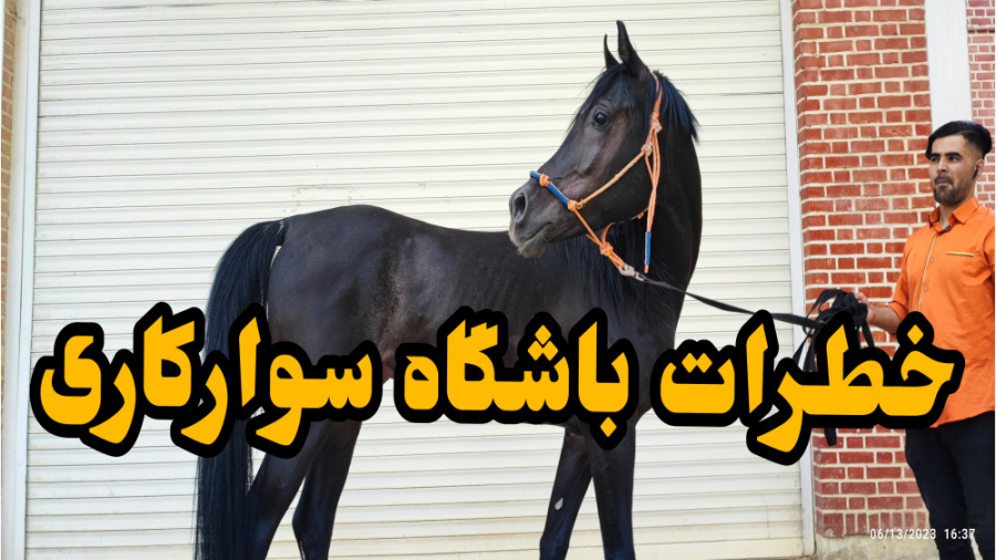 خطرات باشگاه سوارکاری