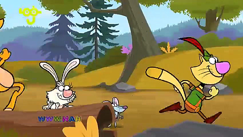 گربه کاوشگر