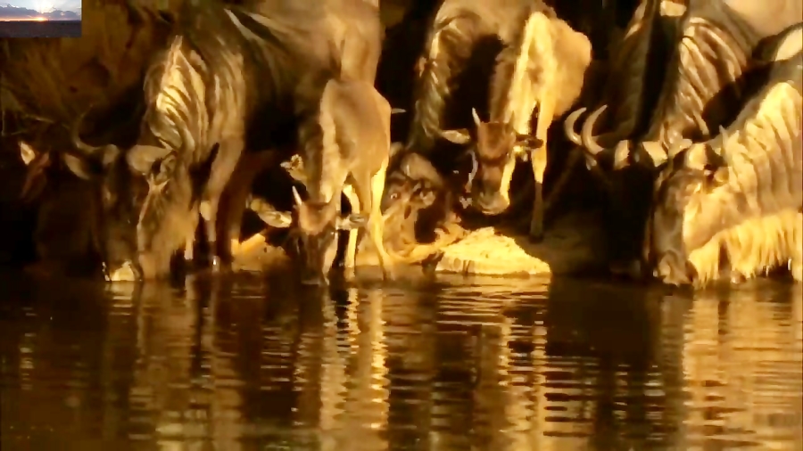 مستند راز بقا  ۵۰ تا از لحظات...