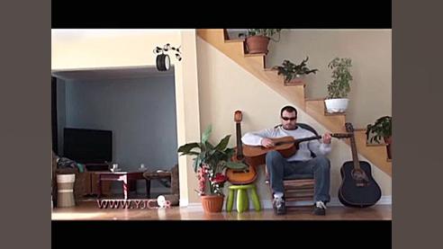 عاقبت گربه آزاری