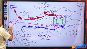 جلسه دوم کلاس آنلاین زیست سال...